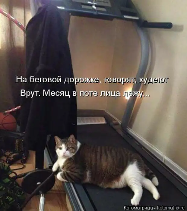Вчера мне позвонили из школы и сказали "ваш сын постоянно лжет"...