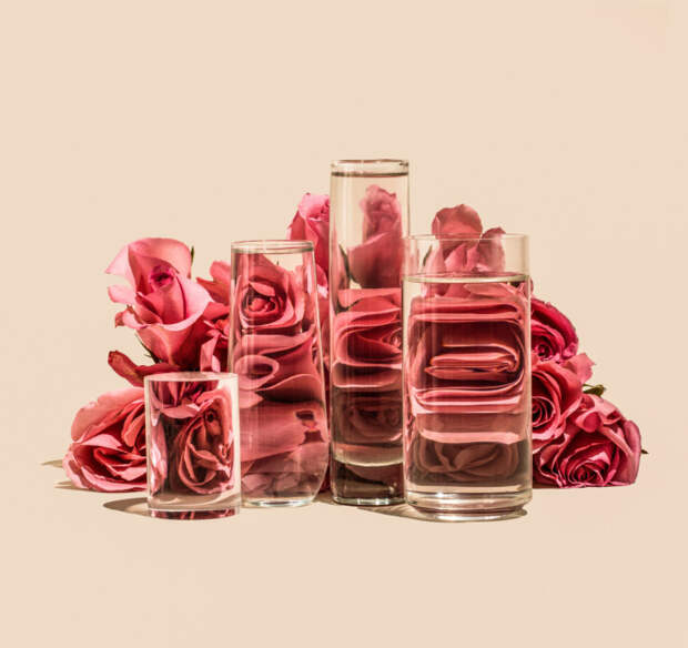 Розовые розы. Автор: Suzanne Saroff.