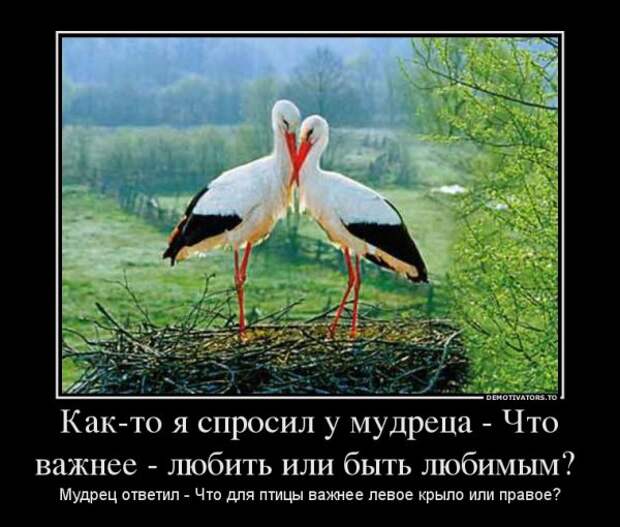 Демотиваторы (23 штуки)