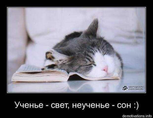 Есть свободная минутка? Удели ее смешным демотиваторам.
