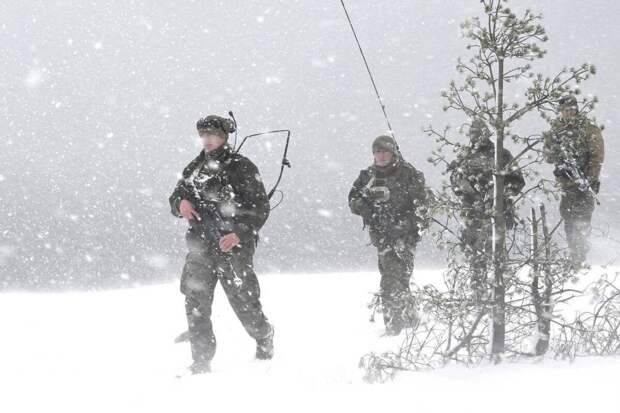 Одна из стран НАТО начала сухопутные учения, часть которых пройдет у границы РФ