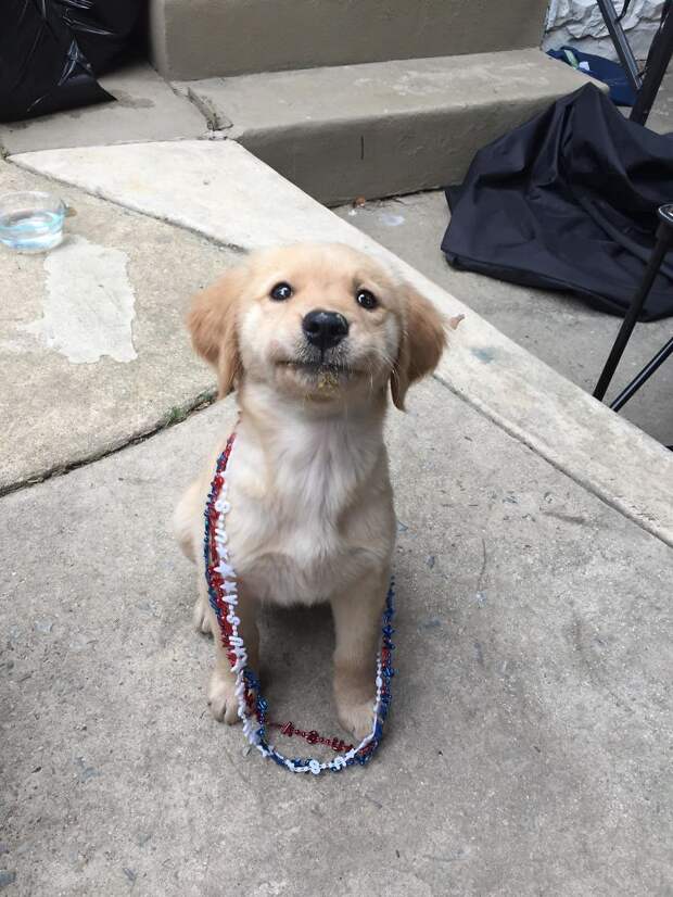 More Peanut Butter!
