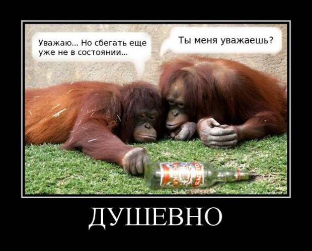 Подборка свежих демотиваторов