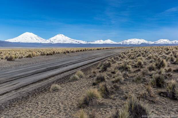 Sajama33 Национальный парк Сахама