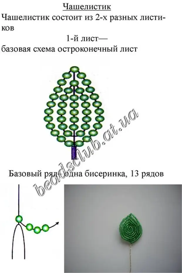 Пион из бисера схема плетения с пошаговым фото