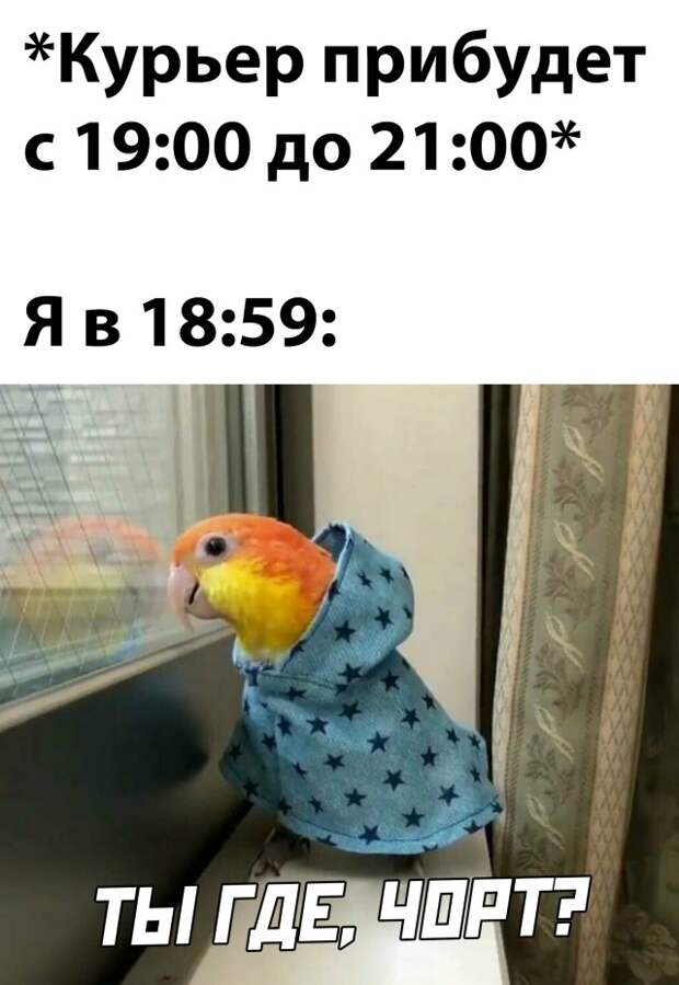 Смешные картинки 17 марта 2021 года