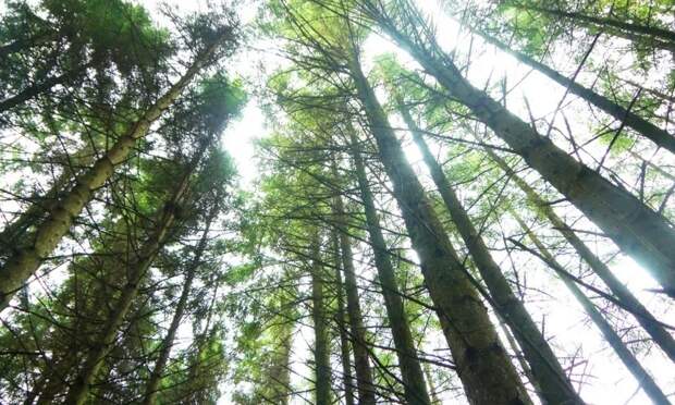 Национальному парку «Онежское Поморье» исполнилось 13 лет