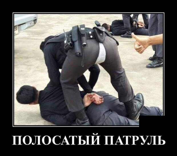 Демотиваторы (30 фото)