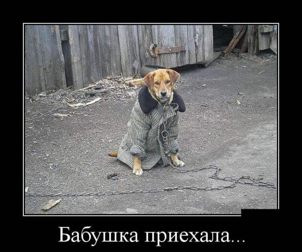 Позитивные и смешные демотиваторы со смыслом (10 фото)
