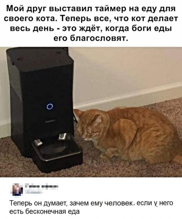 www.vsyako.net