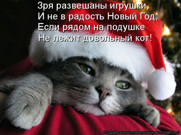 Котоматрица: Зря развешаны игрушки, И не в радость Новый Год, Если рядом на подушке Не лежит довольный кот!