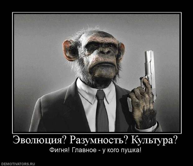 Веселые демотиваторы на утро (11 фото)