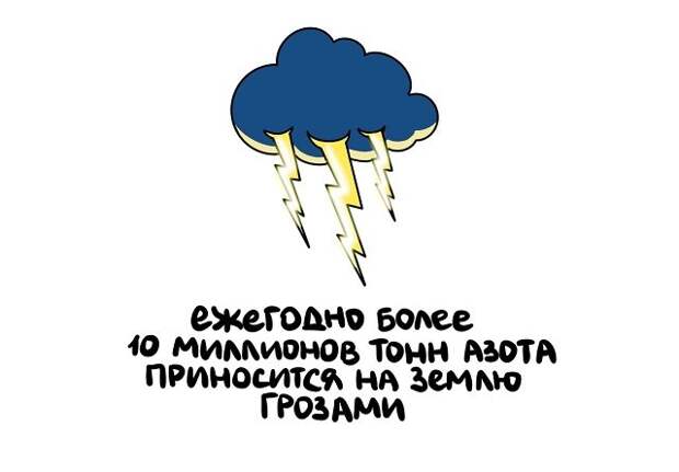 Интересные факты на все случаи жизни