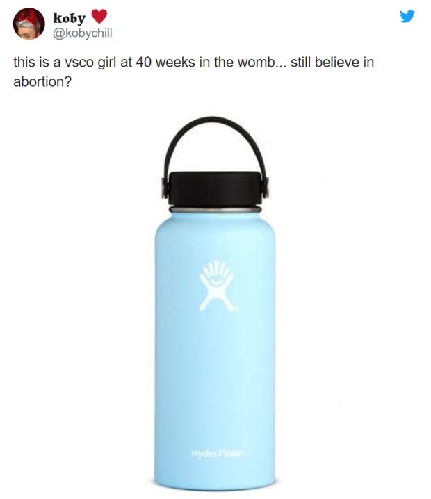 VSCO Girl meme мем