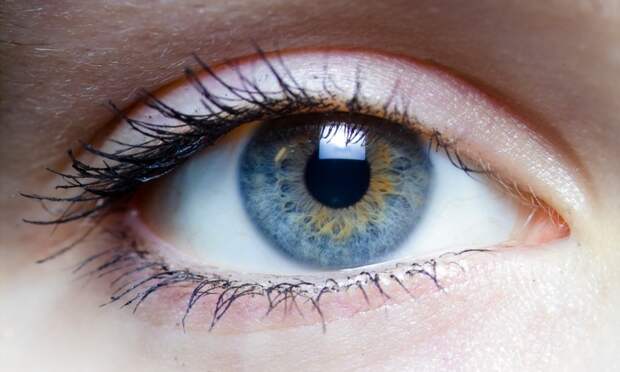 35 фактов о глазах, которых вы не знали