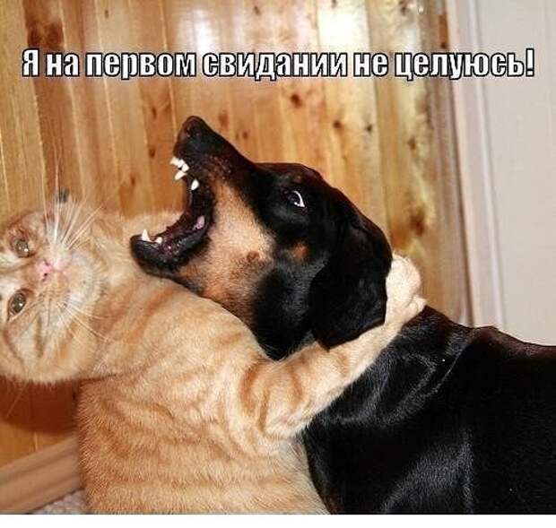 Юмор помогает пробудиться от крепкого сна