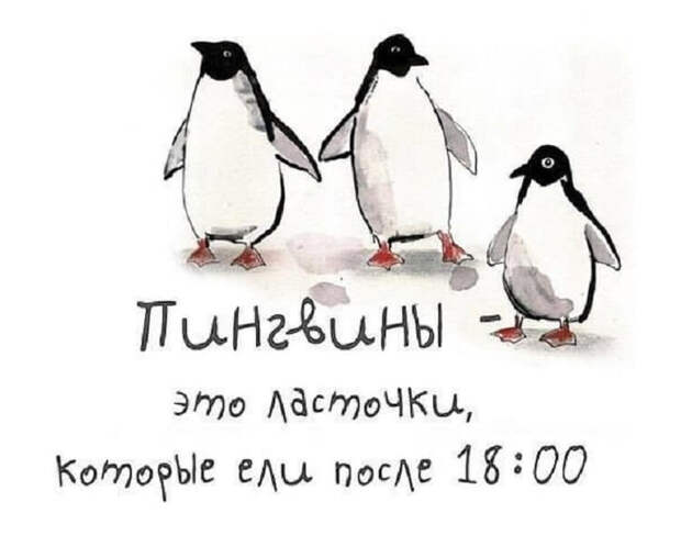 obzhory 9