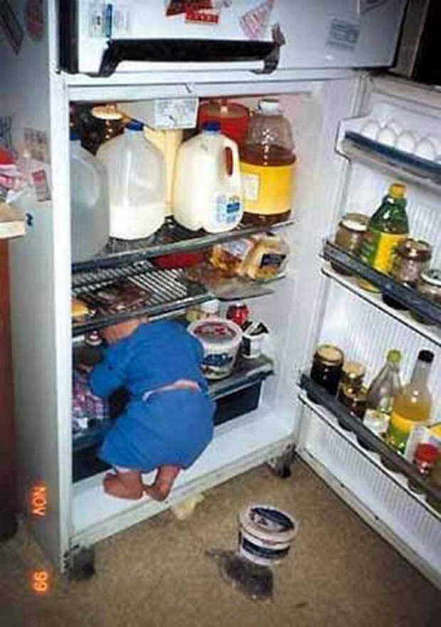 Исследователь холодильника.