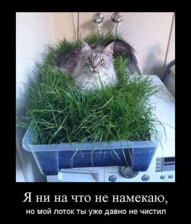Новые демотиваторы на среду Новые демотиваторы на среду