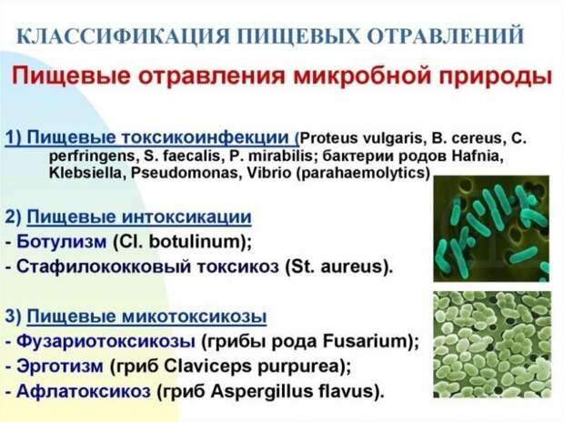 Что делать при пищевом отравлении