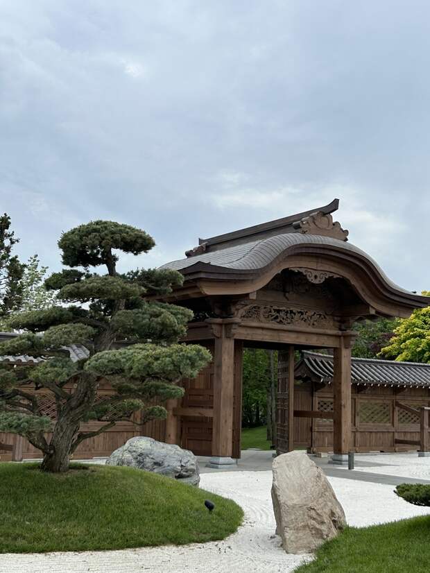 «Ханамитерапия» в Японском саду