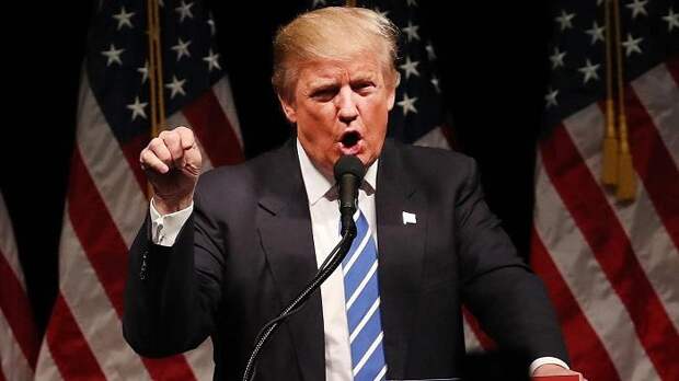 Трамп Трамп