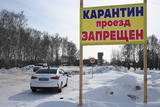 В российском регионе решили заплатить лишившимся скота фермерам