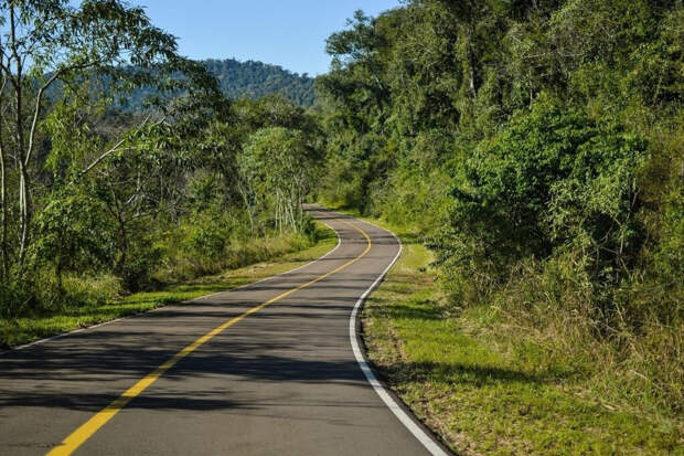 Пять минут — грань между остановкой и штрафом: что нужно знать о желтой разметке