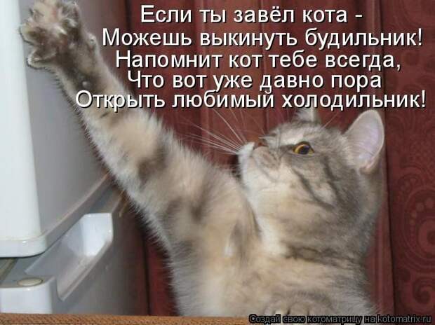 Что там в холодильничке (19 фото)