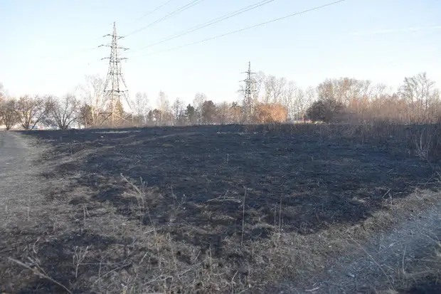 В два раза больше: 1,6 тысячи пожаров потушили в Новосибирской области