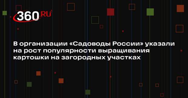 В организации «Садоводы России» указали на рост популярности выращивания картошки на загородных участках