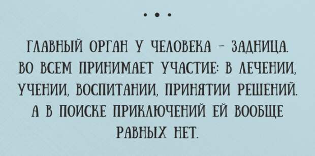 20 ЖИЗНЕННЫХ ОТКРЫТОК С ЮМОРОМ