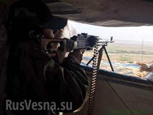 Сирия: Охота на крыс — в «зелёной пустыне» выжигают выживших боевиков (+ФОТО, ВИДЕО) | Русская весна