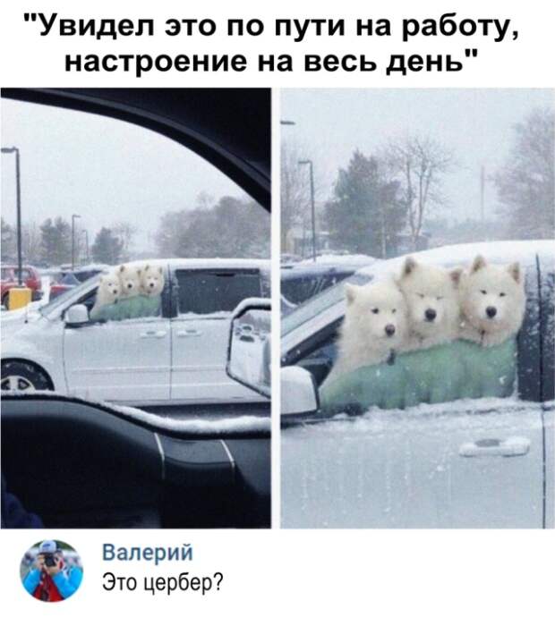 Подборка картинок. Вечерний выпуск (20 фото)