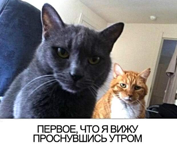 www.vsyako.net