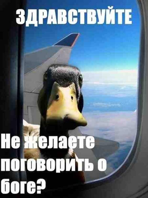 Новогодняя минутка юмора Новогодняя минутка юмора