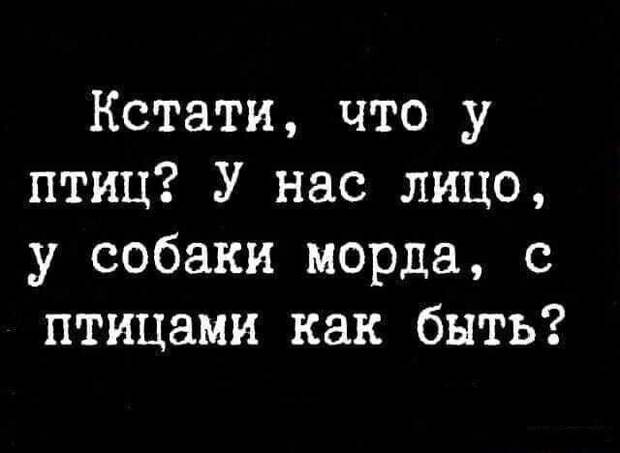 А что у птиц? 