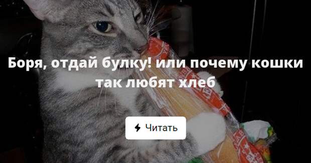 Боря отдам