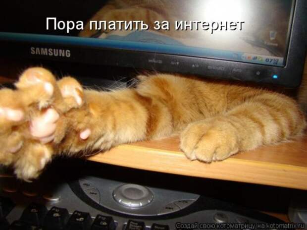1359321788_96696279_large_99 (570x427, 54Kb)