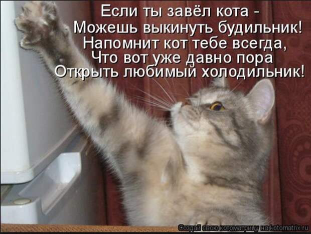 1 (496x375, 60Kb)