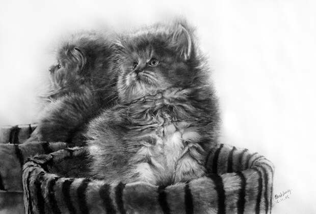 Рисунки карандашом