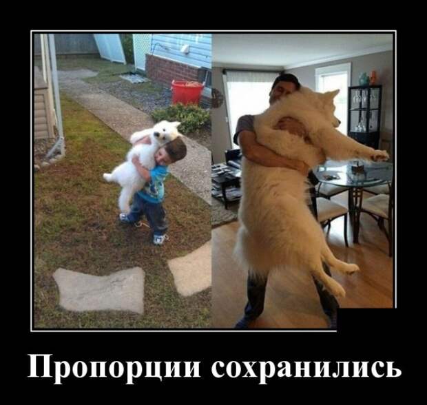 Демотиваторы (30 фото)