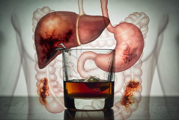 Ученые связали алкоголь с ростом риска рака груди, печени и органов ЖКТ