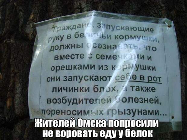 Забавные картинки с надписями для веселья (11 фото) Забавные картинки с надписями для веселья (11 фото)