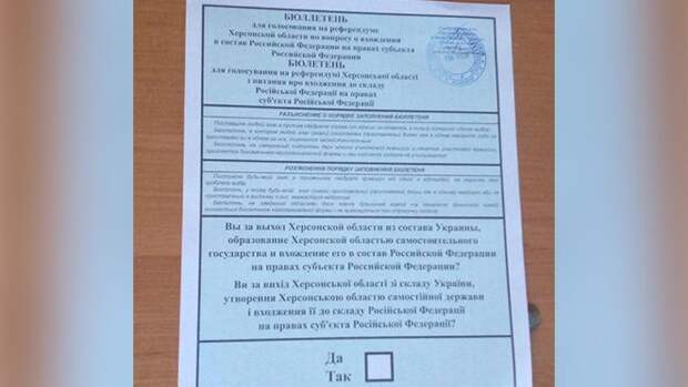 Политолог Федорова объяснила, почему в Сети было мало фейков о нарушениях на референдуме