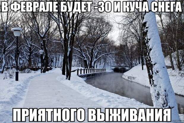 Прикольные картинки (102 фото) Прикольные картинки (102 фото)