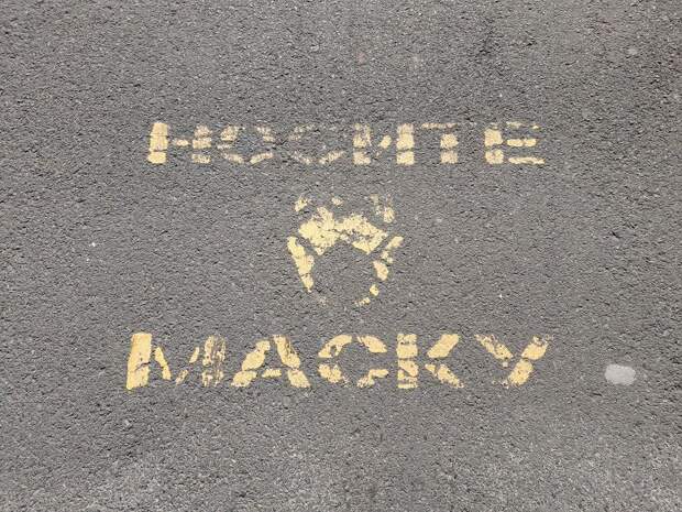 Новый штамм коронавируса «Цикада» легко обходит иммунную защиту человека - эпидемиологи