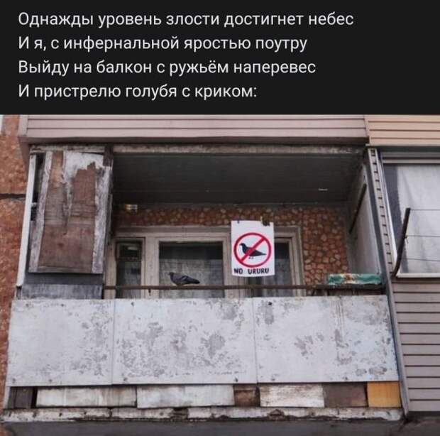 стих про голубей