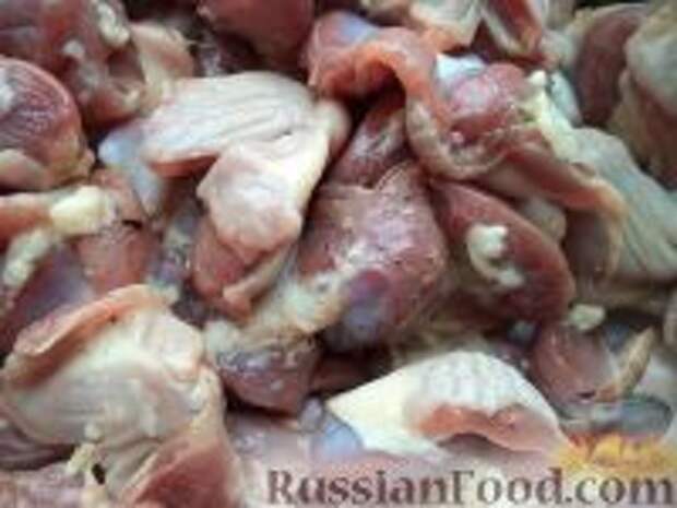 Фото приготовления рецепта: Куриные желудочки в подливке - шаг №1