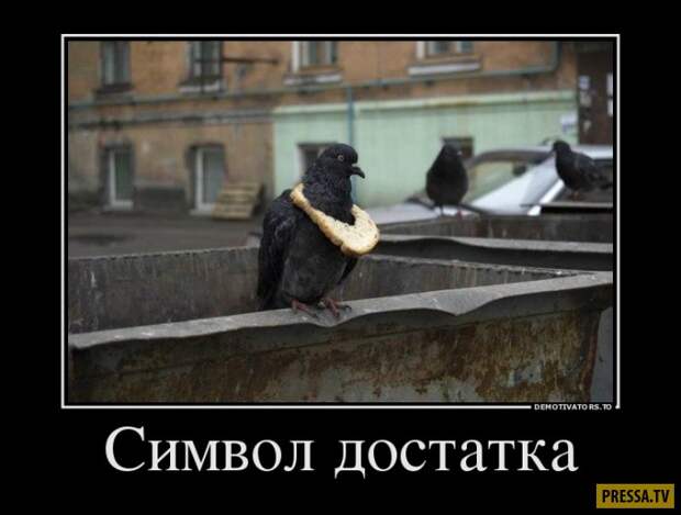 Демотиваторы (42 фото)